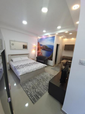 Pejovic apartmani
